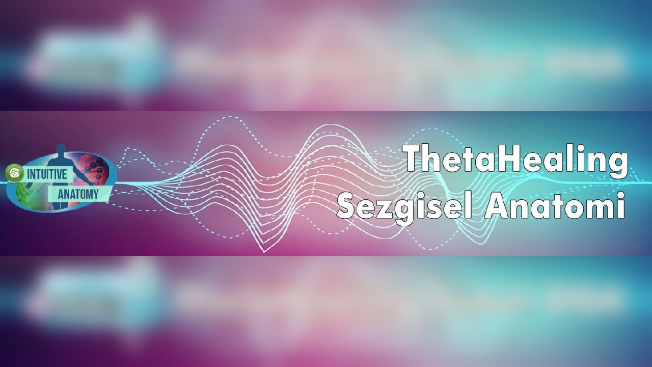 Thetahealing Sezgisel Anatomi Eğitimi Nereden Başlamalı?