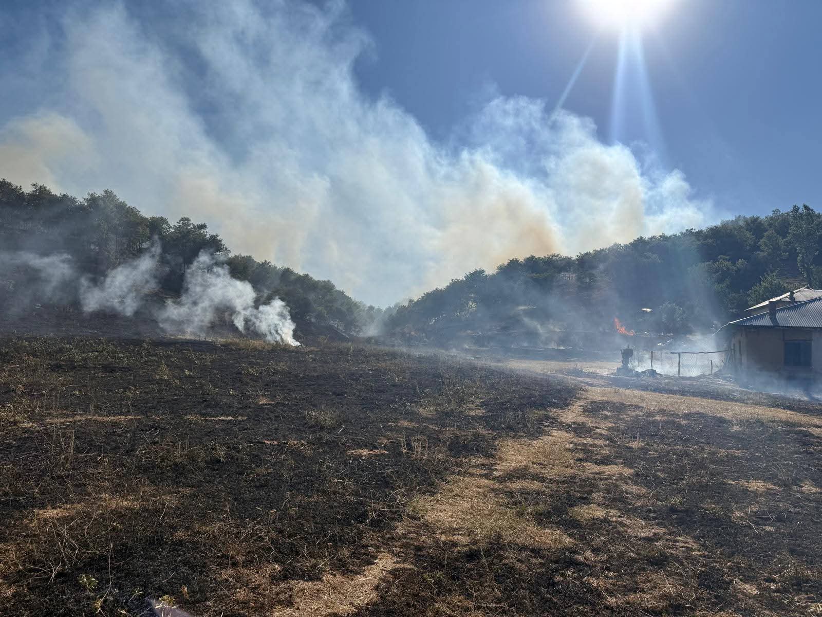 Konya'da orman yangını, kısa sürede söndürüldü