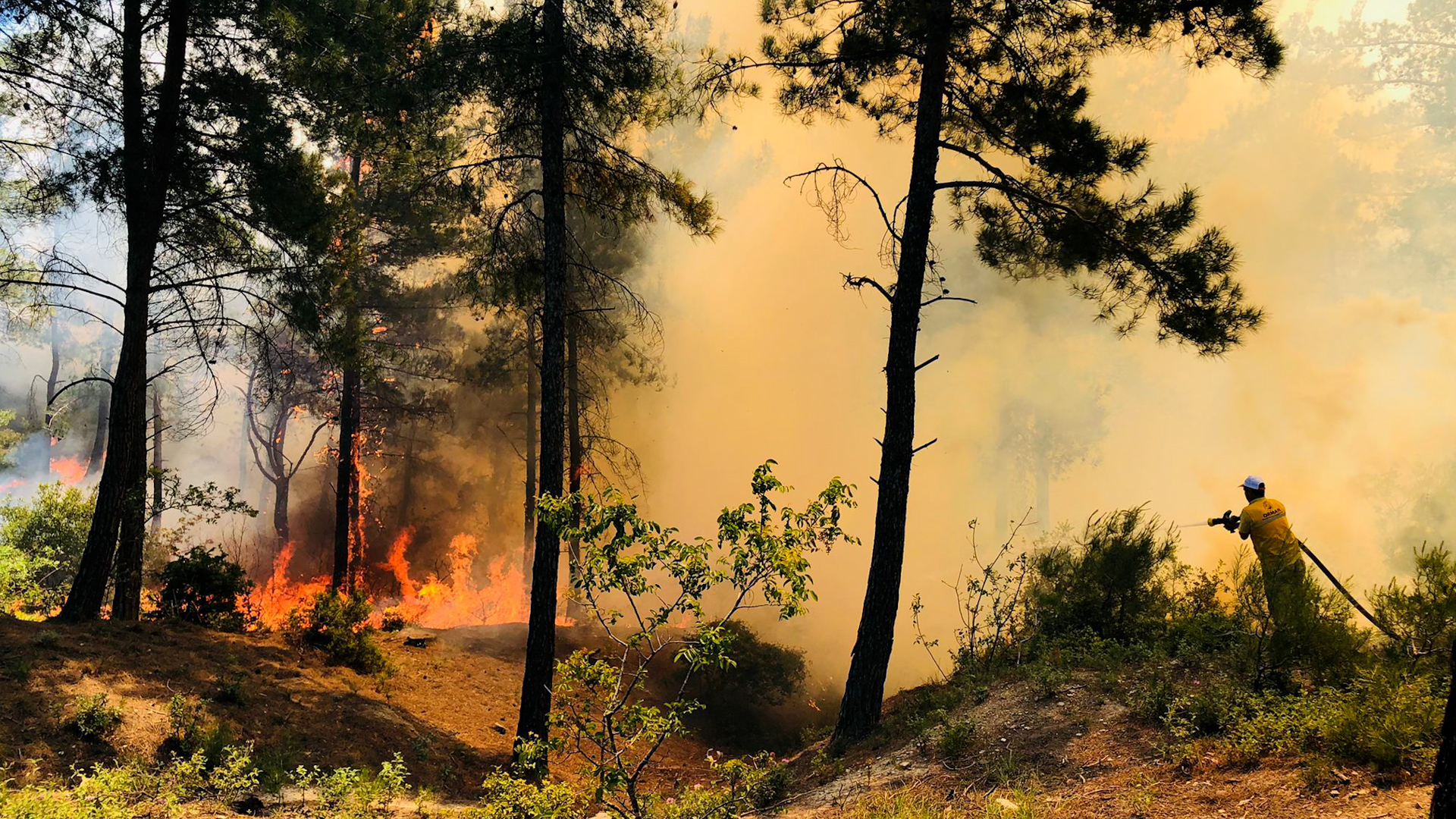 Doğanhisar'daki orman yangını kontrol altına alındı