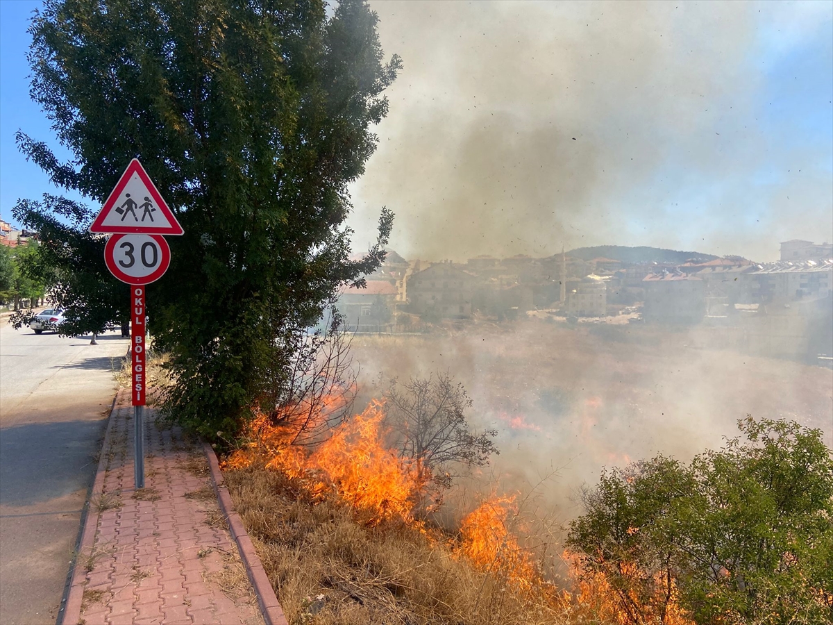 Beyşehir'de otluk alanda çıkan yangın söndürüldü