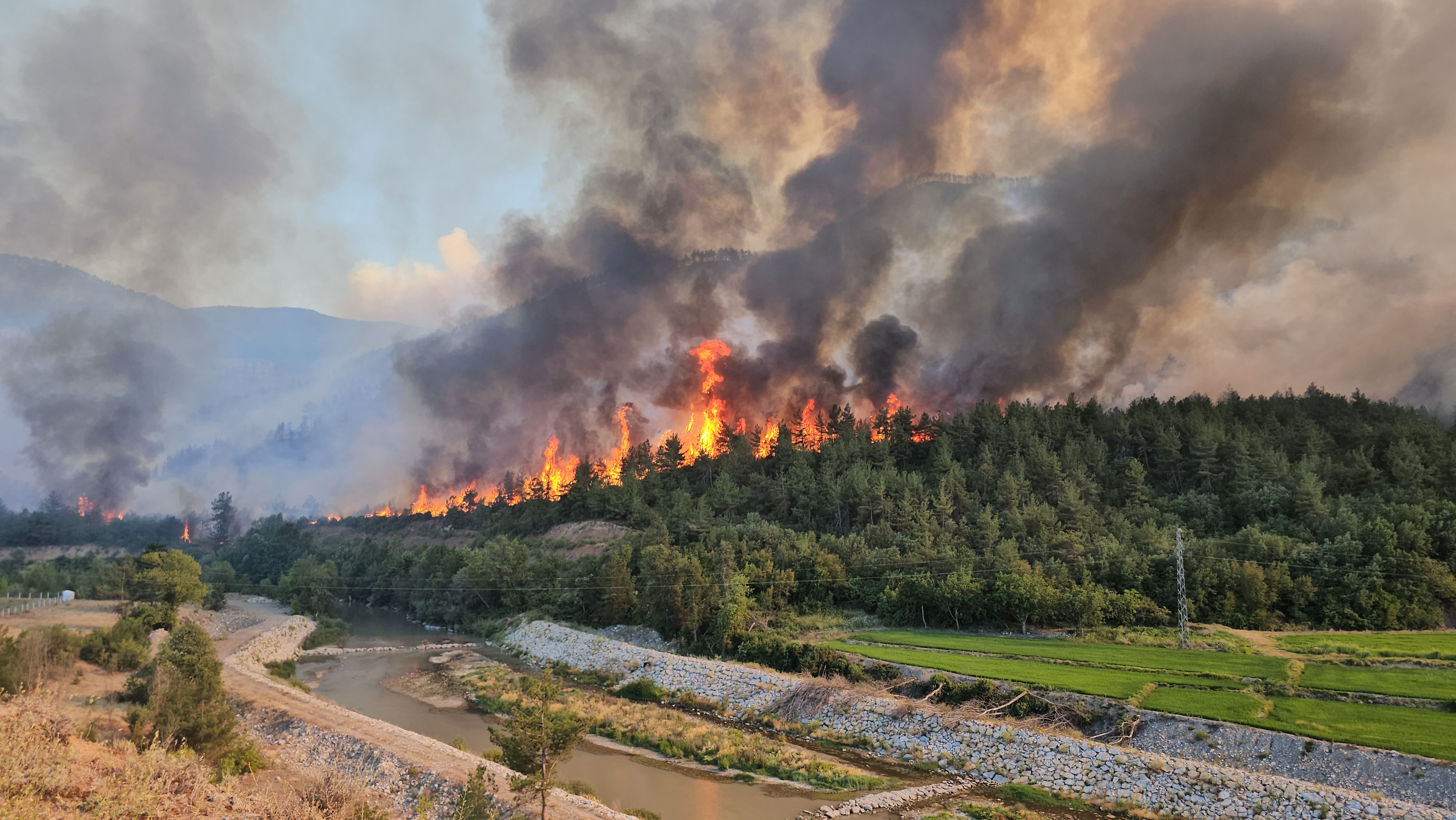 Karabük'te dağın etekleri alev aldı; il genelinde 18 köy boşaltıldı