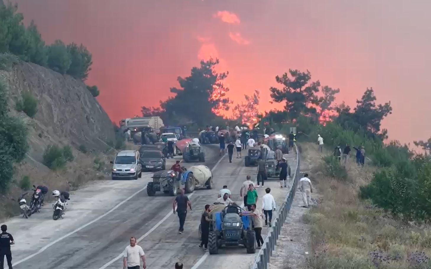 Bursa’da orman yangını