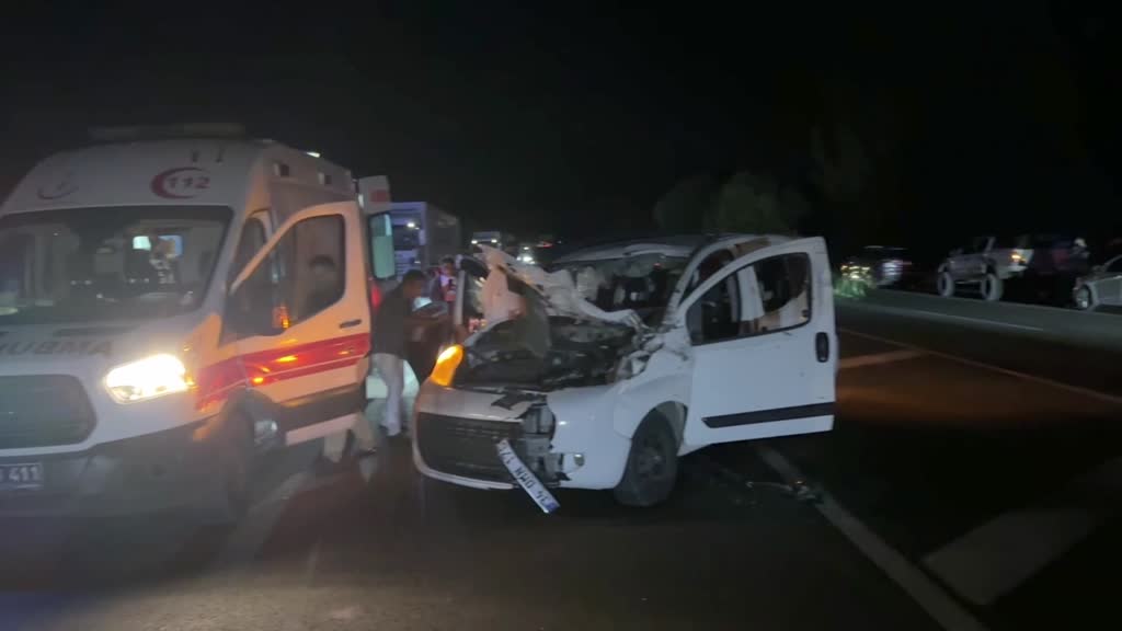 Bingöl'de ata çarpan hafif ticari araçtaki 1 kişi hayatını kaybetti