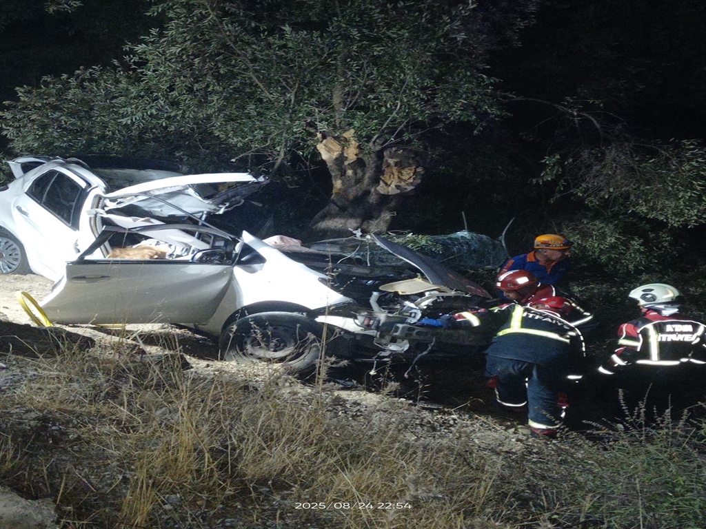 Aydında Otomobil zeytinliğe savruldu: 2 ölü, 1 ağır yaralı