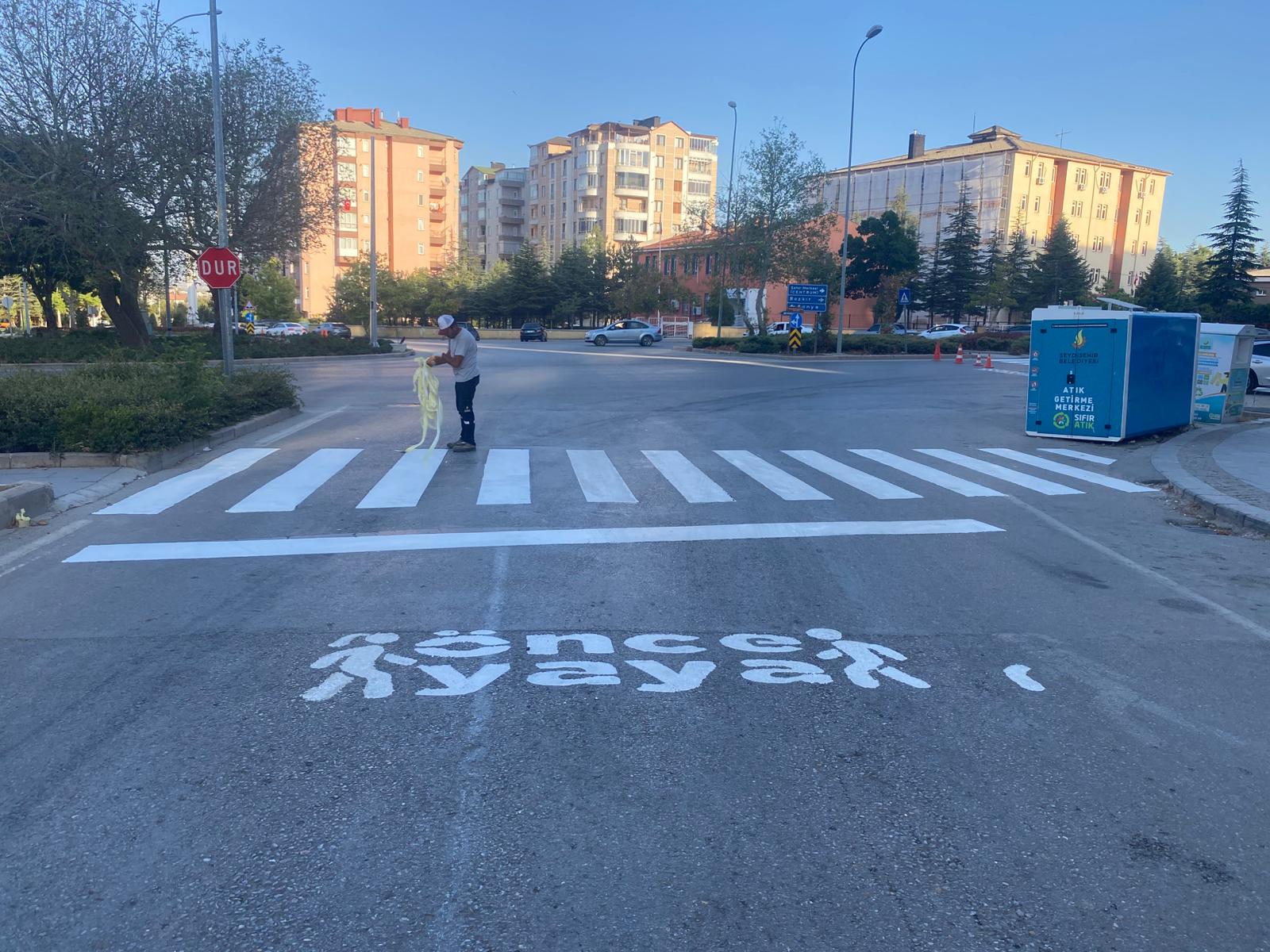 YAYA GEÇİTLERİ BOYANIYOR 