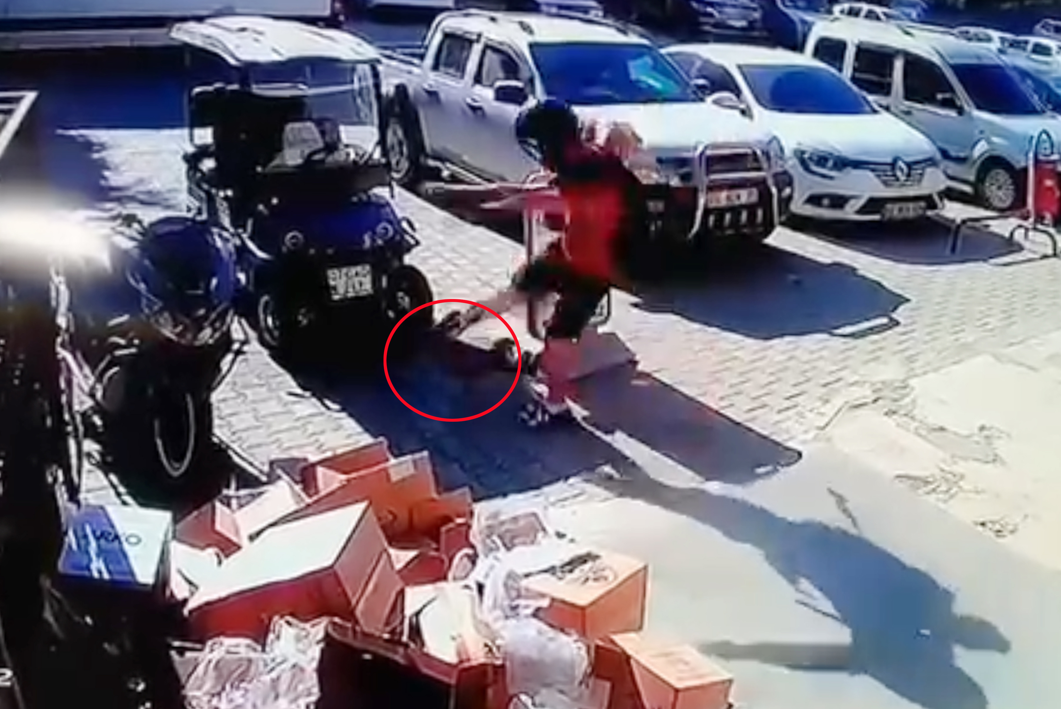 Antalya - Kediyi tekmeledi tutuklandı