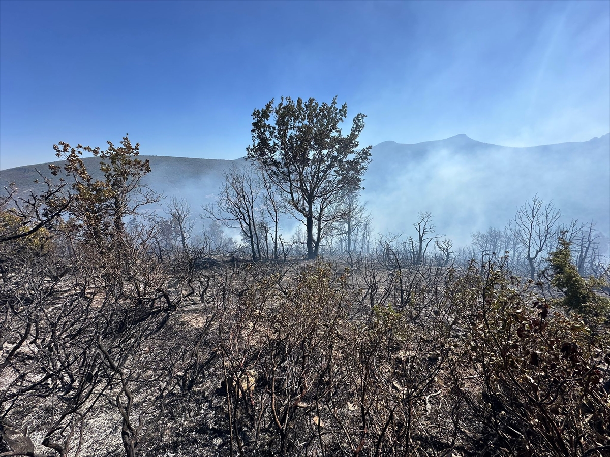 Konya'da orman yangını kısa sürede söndürüldü
