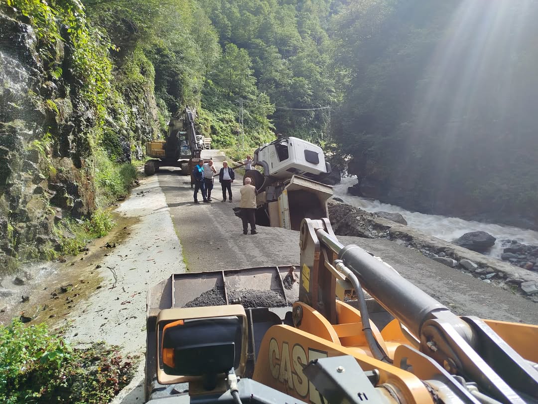 Artvin'de göçüğe düşen kamyonun sürücüsü yaralandı