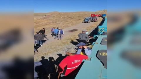 Kars - Yük treni büyükbaş sürüsüne çarptı; 5 inek öldü