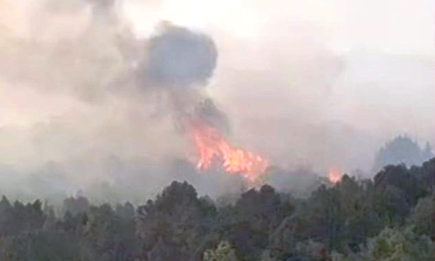 Beyşehirde sazlıkta çıkan yangın ormana sıçradı