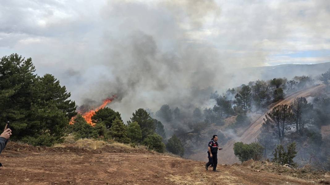 Konya Derbent’te orman yangını çıktı