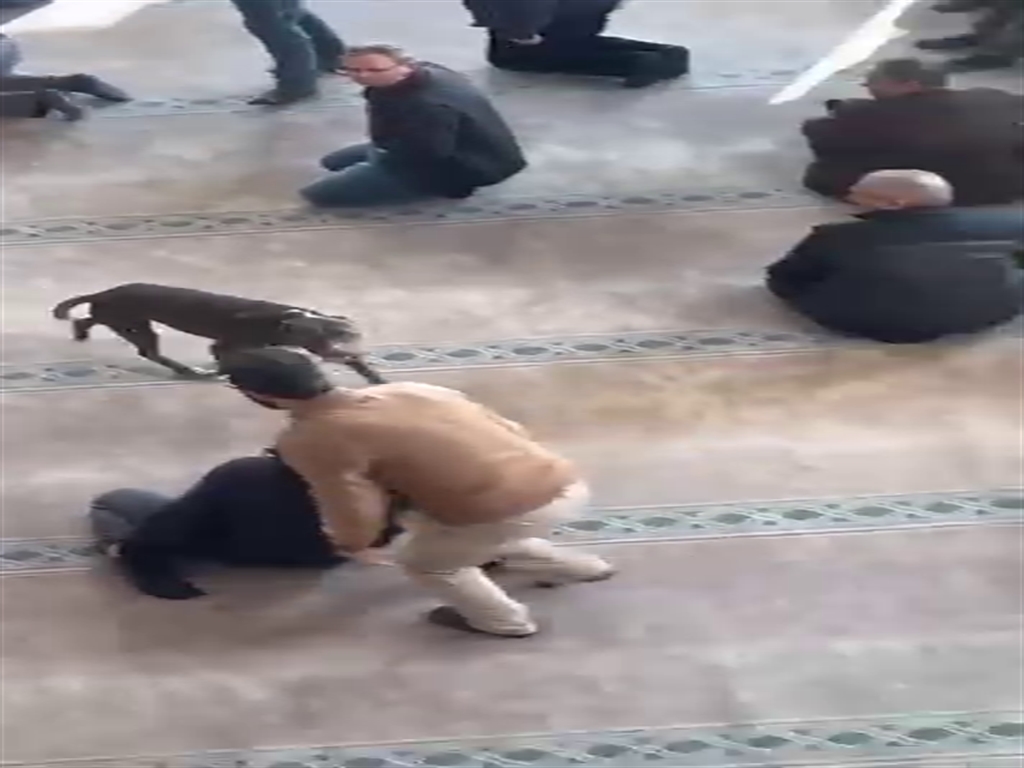 Cuma vaazı sırasında camiye pitbullun girdiği anlar kamerada