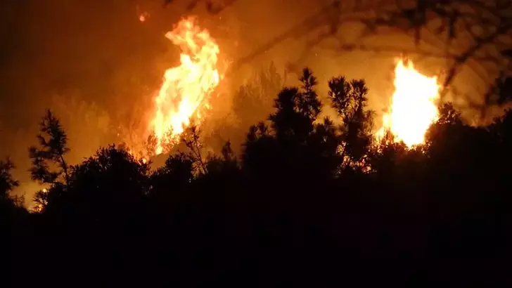 Antalya’da orman yangını 
