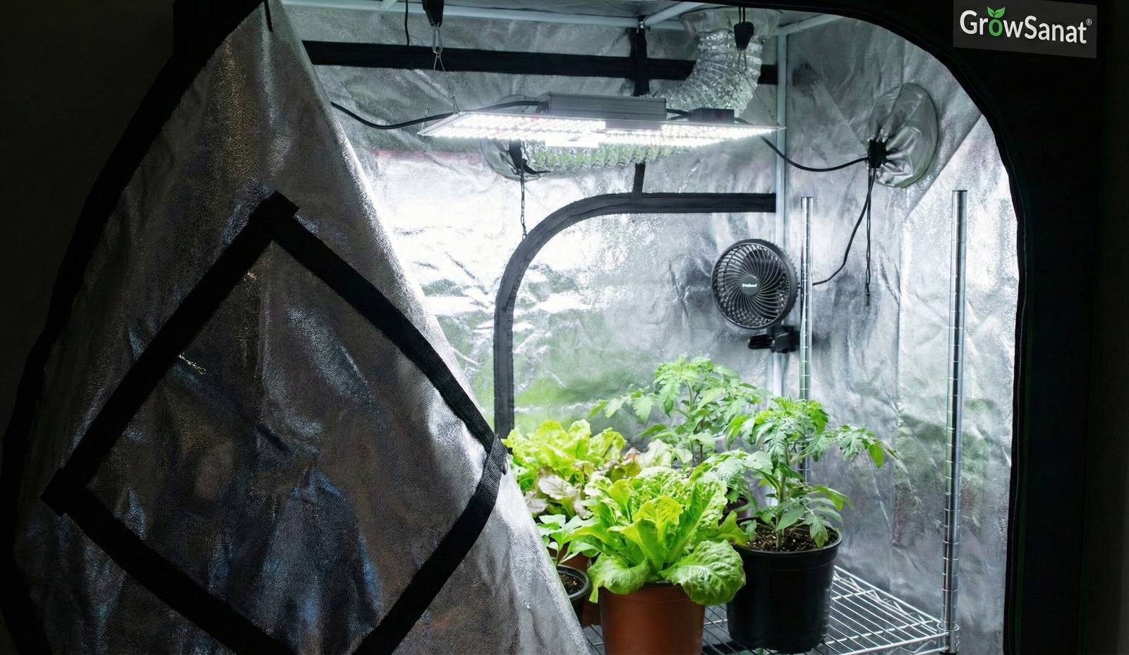 Profesyonel İç Mekan Bahçeciliği: Maksimum Verim İçin 3 Temel Unsur