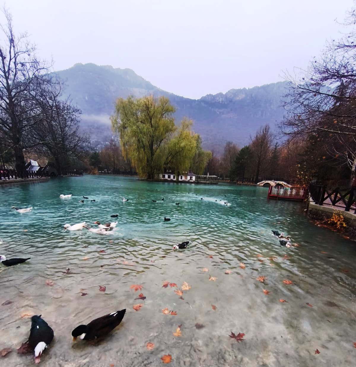 Konya’da Yağış Raporu Açıklandı: Fırtına Kapıda!