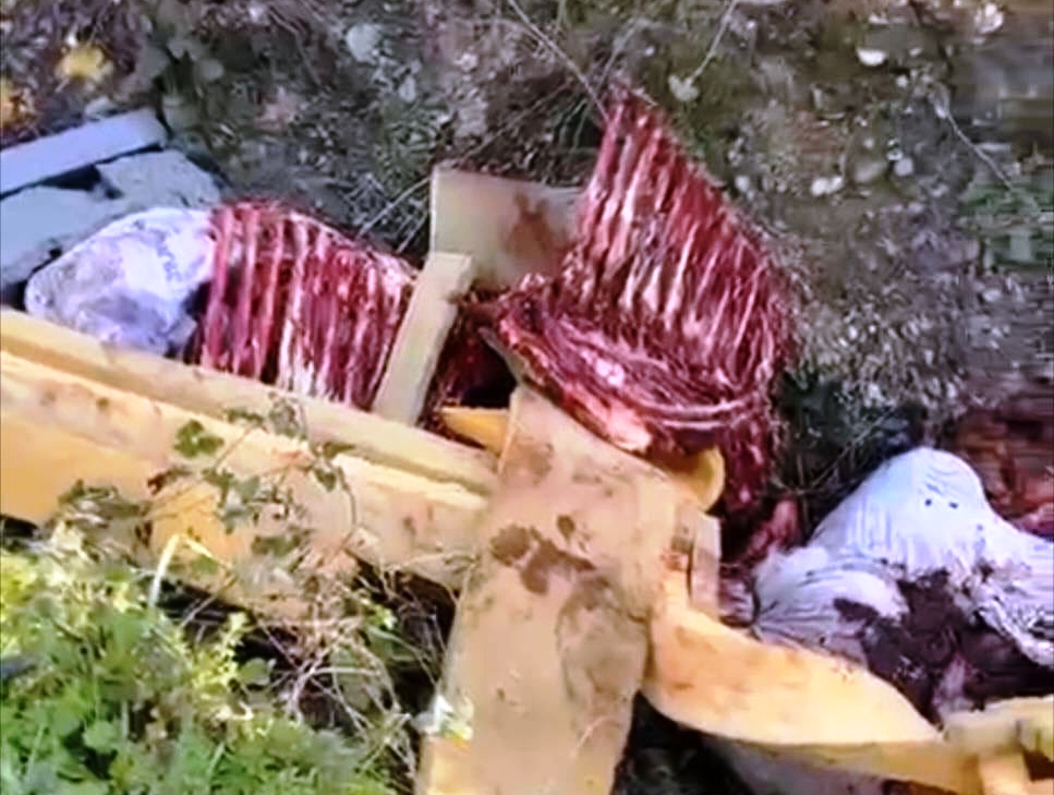 At kestikleri öne sürülen 2 şüpheli, operasyonla yakalandı