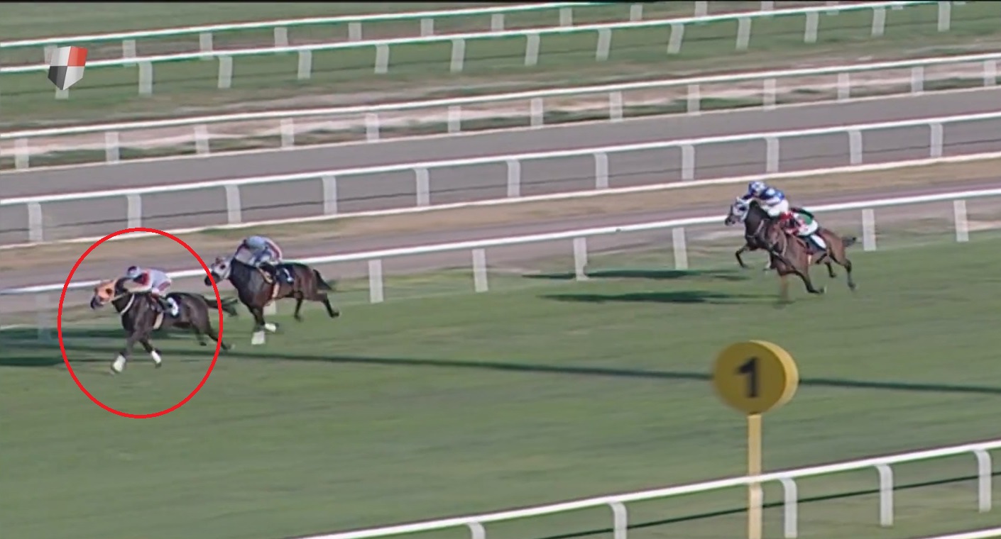 Adana’da yarış atı kavurma yapılan iş insanına da 132 bin TL ceza kesildi