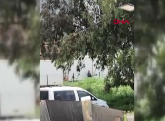 Adana - Tavuklarını yediği gerekçesiyle sokak köpeğini sopayla döven kişi gözaltında