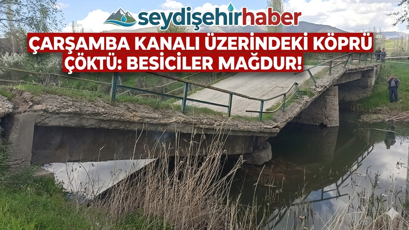 Çarşamba Kanalı Üzerindeki Köprü Çöktü: Besiciler Mağdur!