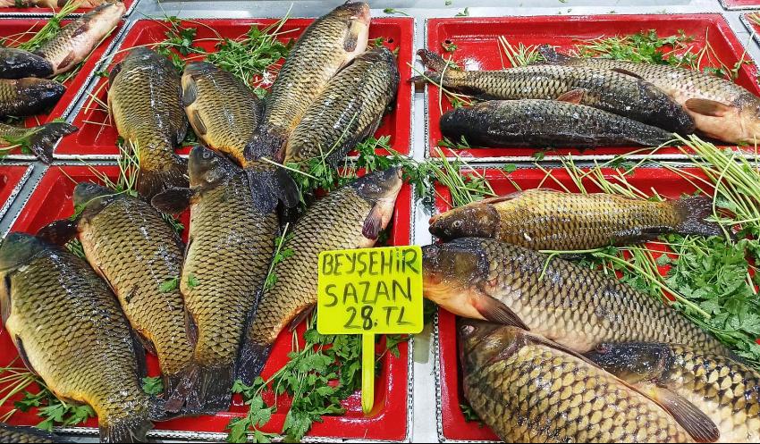 AV SEZONU AÇILDI  BEYŞEHİR SAZANI  TEZGAHLARI SÜSLEDİ