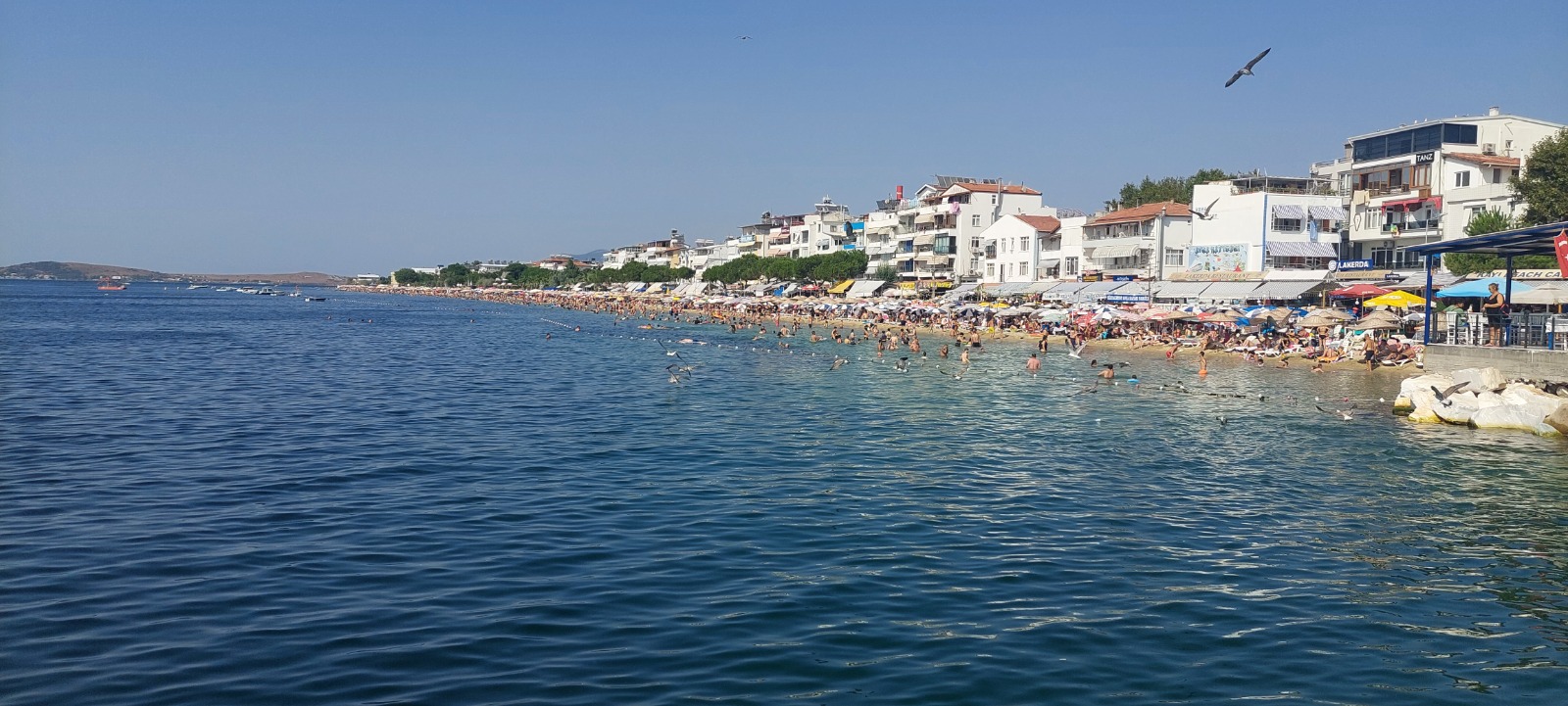 Avsaisland.com ile "Harika Bir Tatil" 2024 Yazında Sizi Bekliyor!