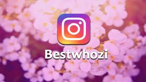 Bestwhozi Nedir?  Instagram Gizli Hesap Nedir?