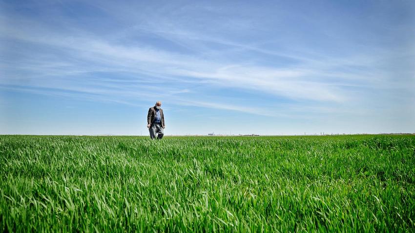 Buğdayda bu sezon rekoltenin 19 milyon ton olması bekleniyor.