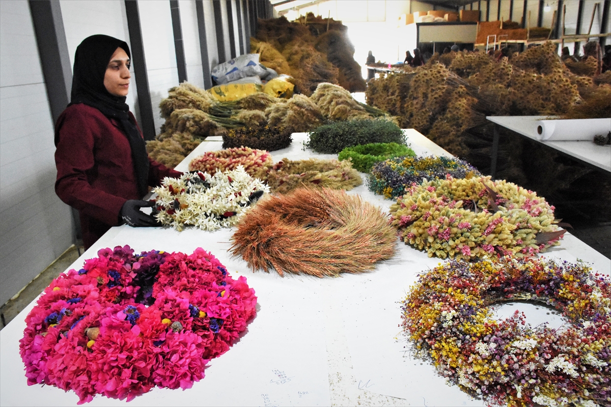 Kadınların elinde şekillenen bitkiler süs eşyası olarak Hollanda'ya gönderiliyor