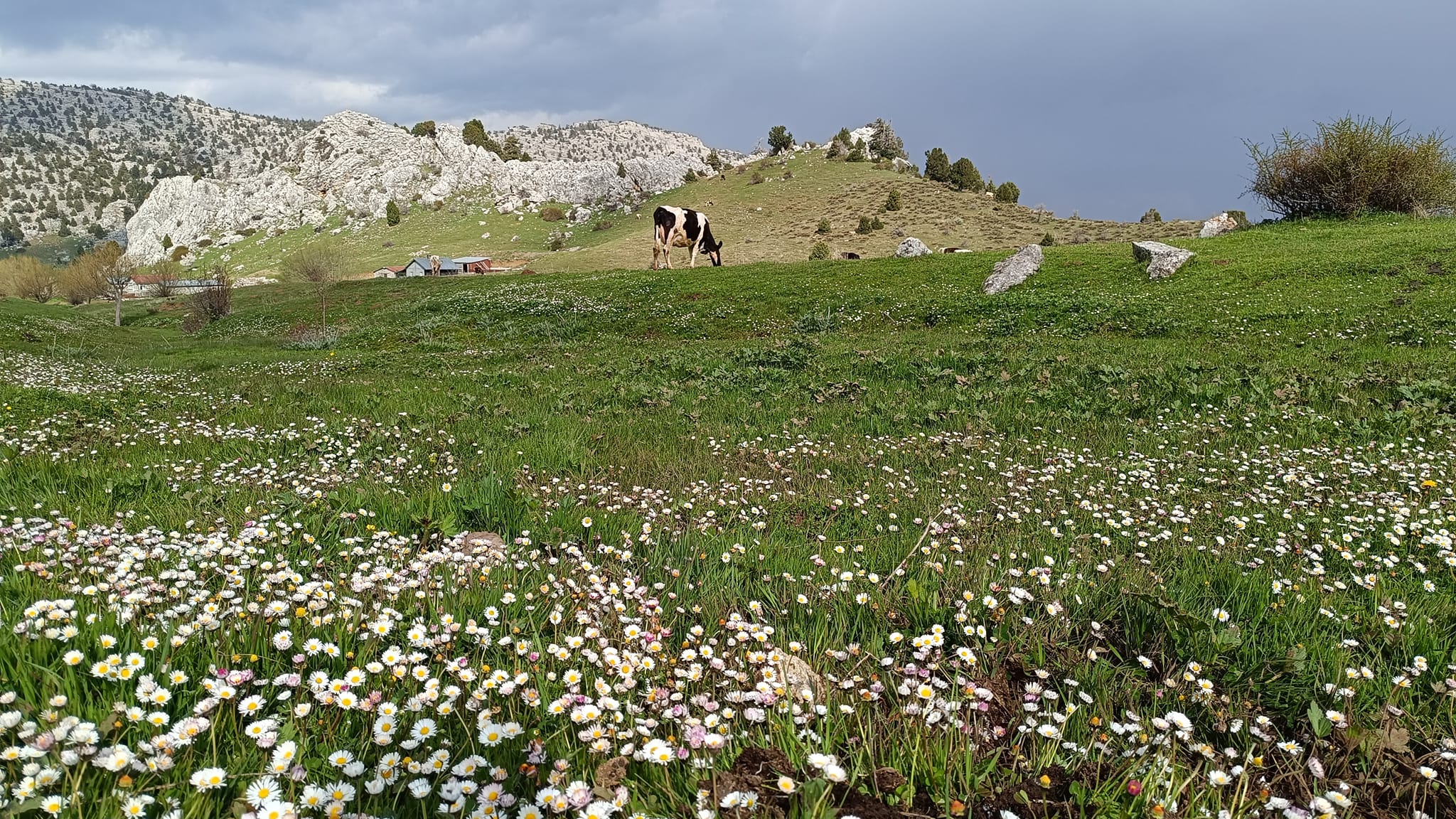 Konya Bölgesinde hava sıcaklıkları artıyor
