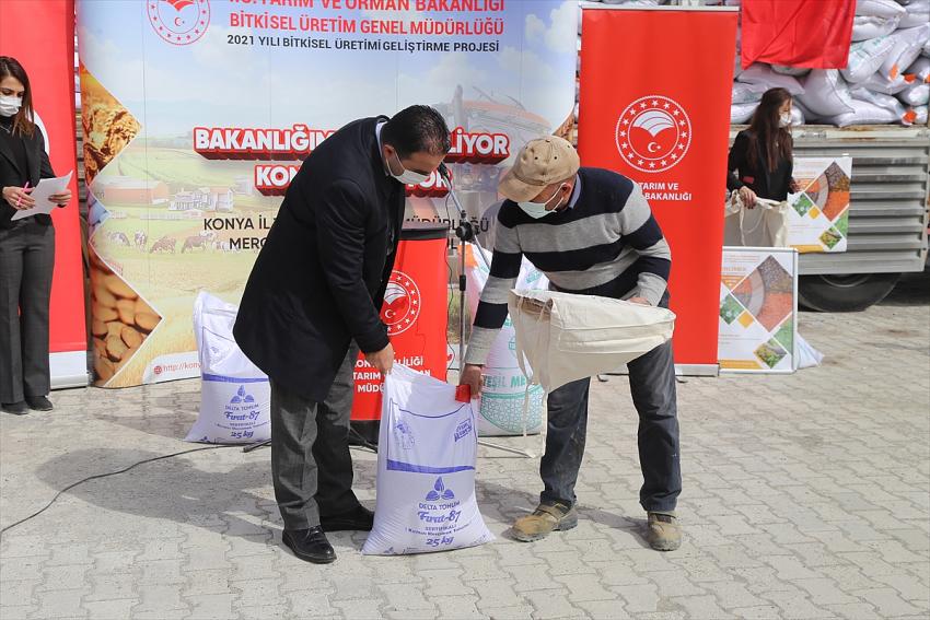 Konya'da 200 ton sertifikalı yerli mercimek tohumu çiftçilere dağıtıldı
