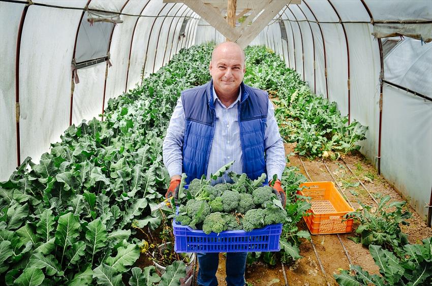 Konya'da salgında hobi amaçlı sera kuran mühendis, sebze talebine yetişemez duruma geldi