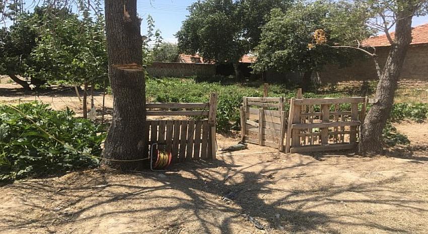  Konya'da Taşlama makinesiyle budarken boğazını kesti