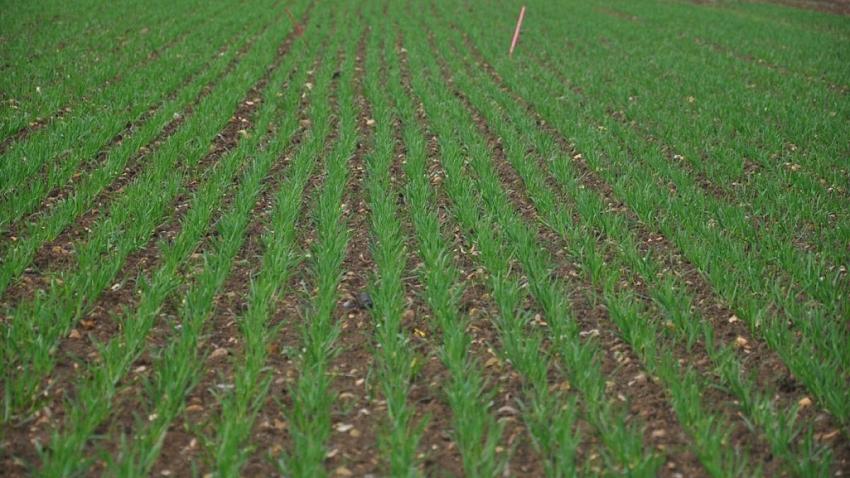 Konya tarımsal üretim değerinde Türkiye birincisi oldu