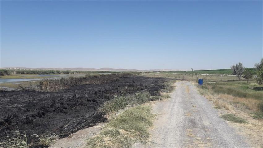 Kulu'da sazlık yangını büyümeden söndürüldü