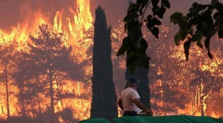 Manavgat'taki orman yangınıyla ilgili  16 yaşında bir kişi tutuklandı