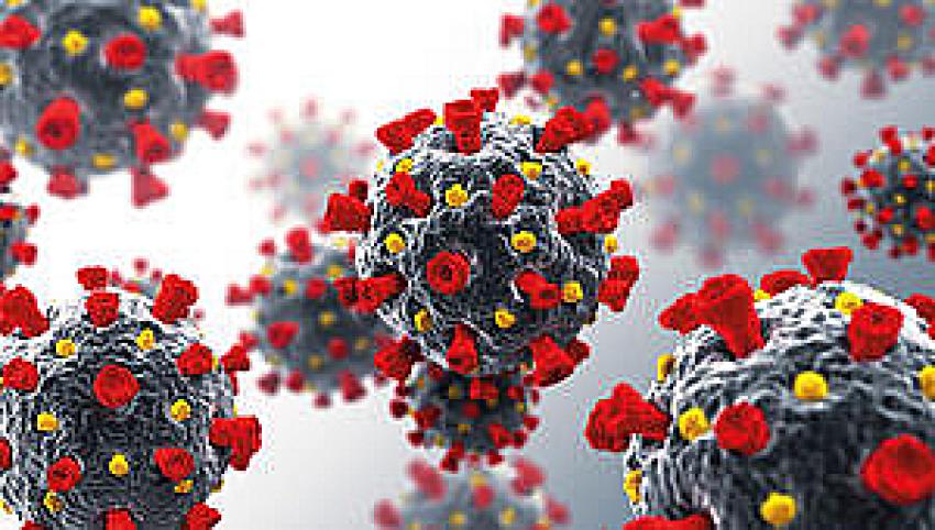  Mutasyonlu virüs Konya'nın  ilçelerinde