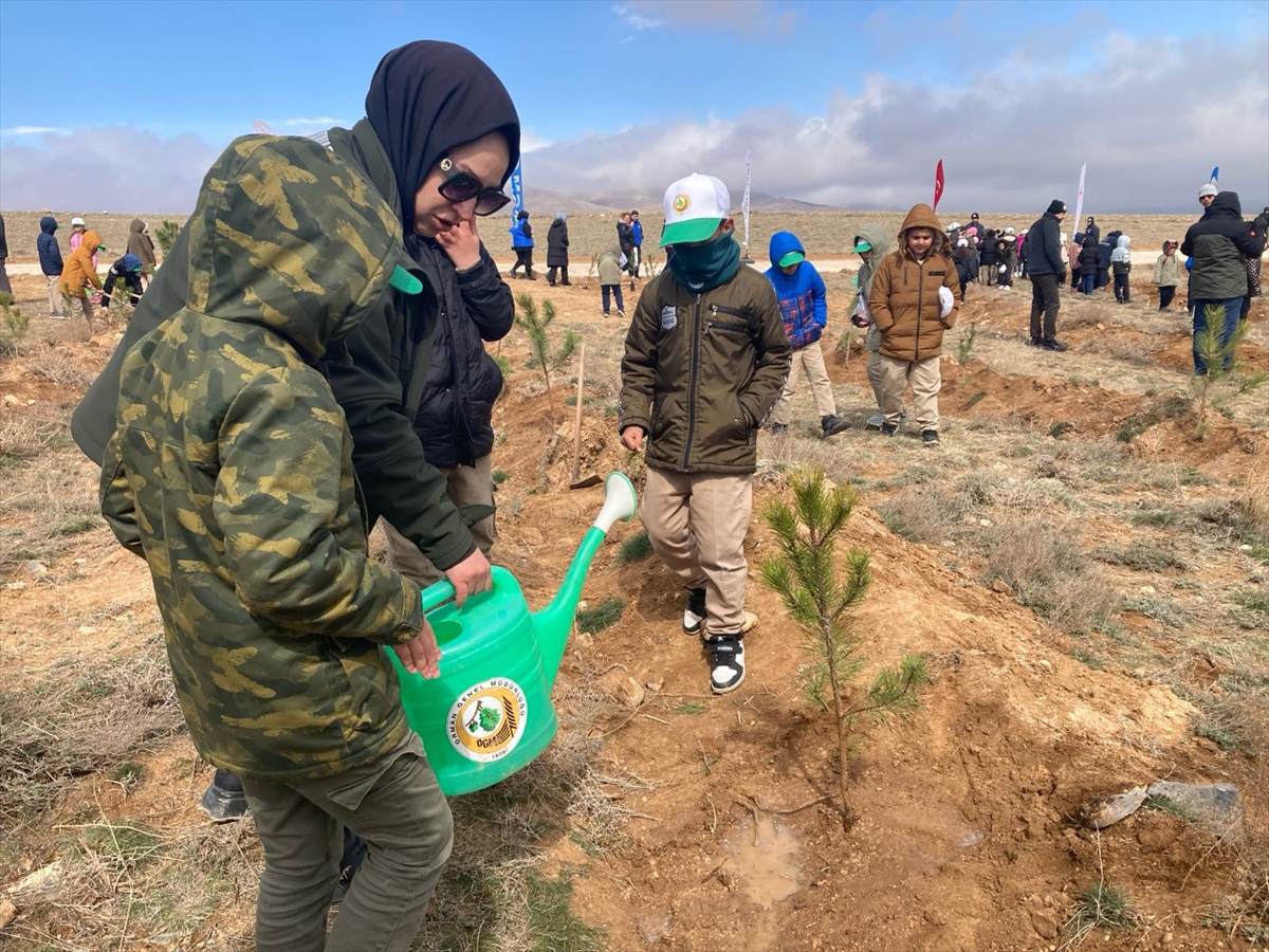 Orman Haftası ve Ağaç Bayramı kutlanıyor