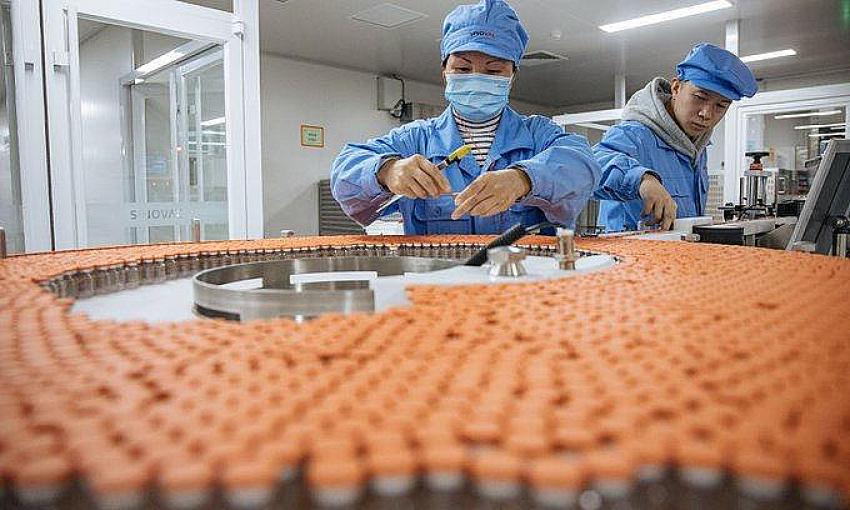 Sinovac'tan üçüncü doz iddialarına cevap!