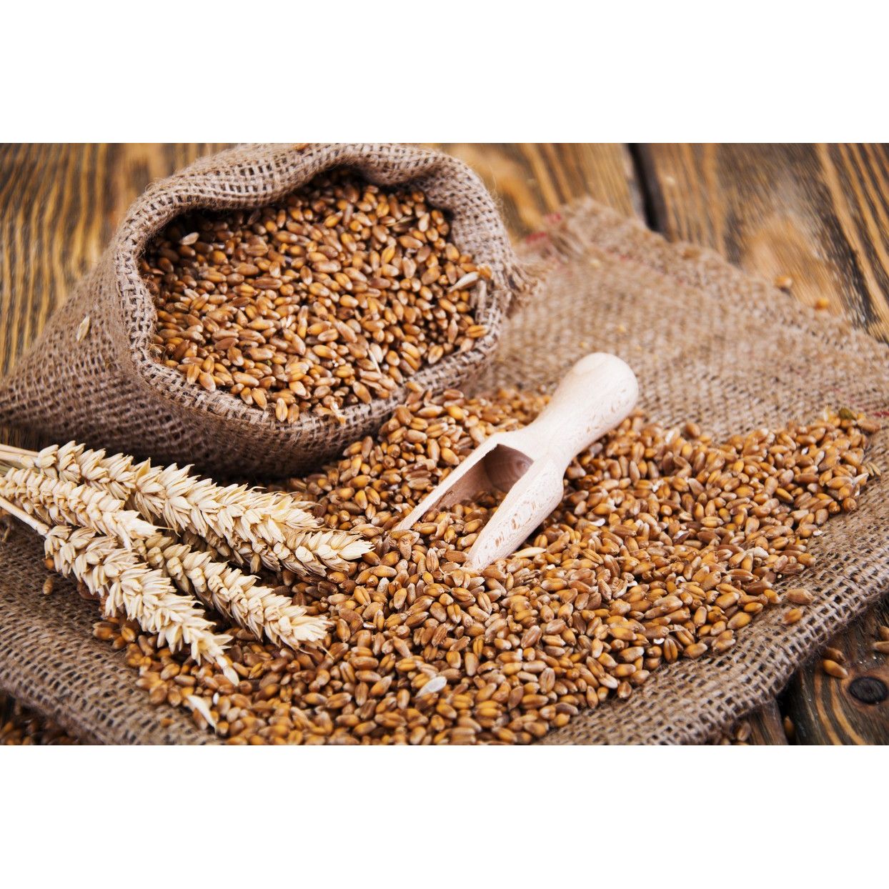 Toptan Tahıl ve Gübre Ürünleri