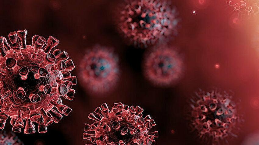 Türkiye'de 134 kişide Delta varyantı görüldü