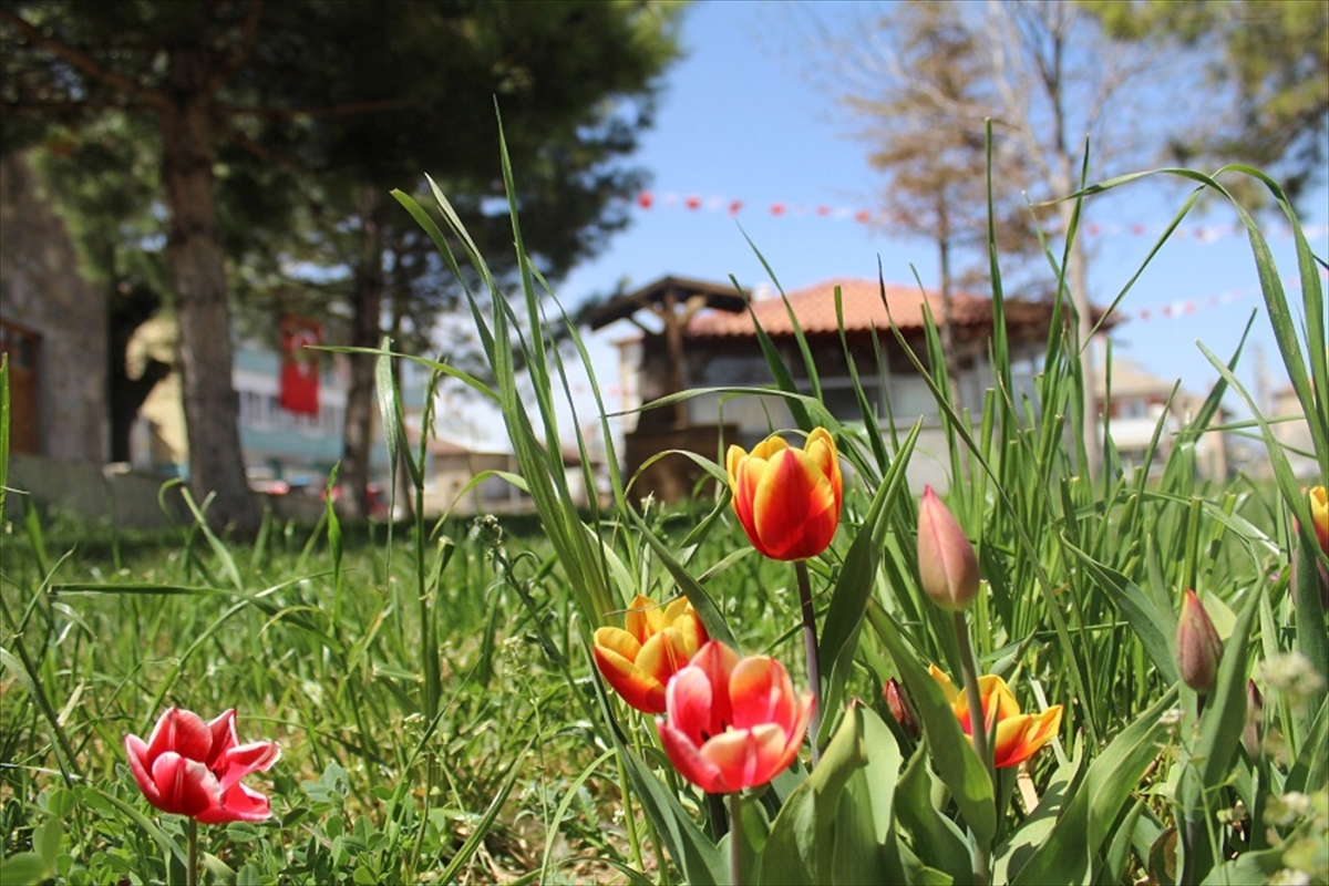 Yalıhüyük ve Bahar" konulu fotoğraf yarışması sonuçlandı