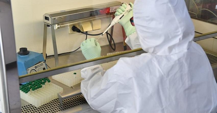 Zorunlu PCR testinde öğretmen ve işçi için kesin karar verildi