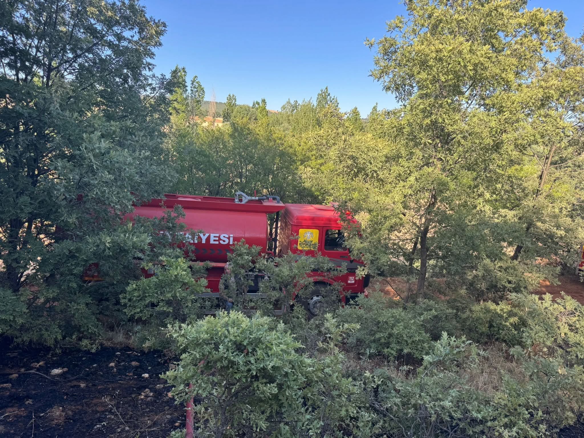 Konya'da orman yangını, kısa sürede söndürüldü - Görsel 1