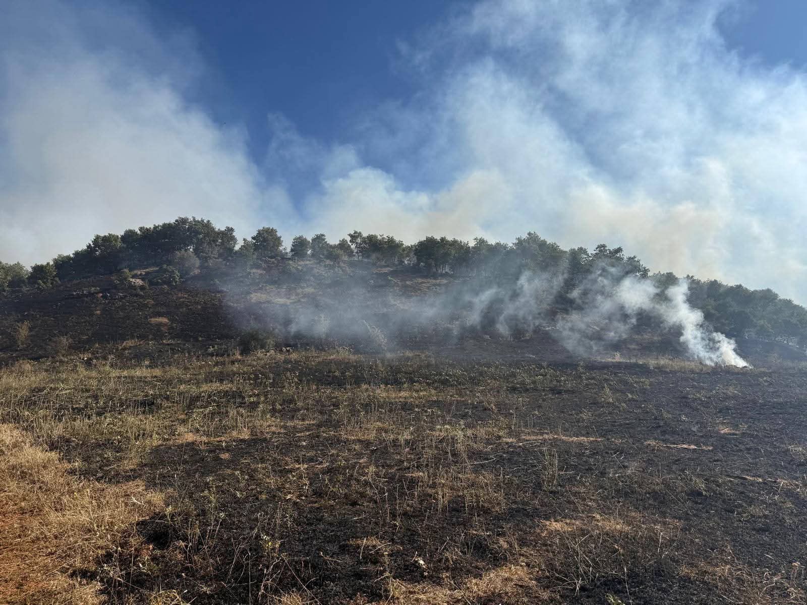 Konya'da orman yangını, kısa sürede söndürüldü - Görsel 2