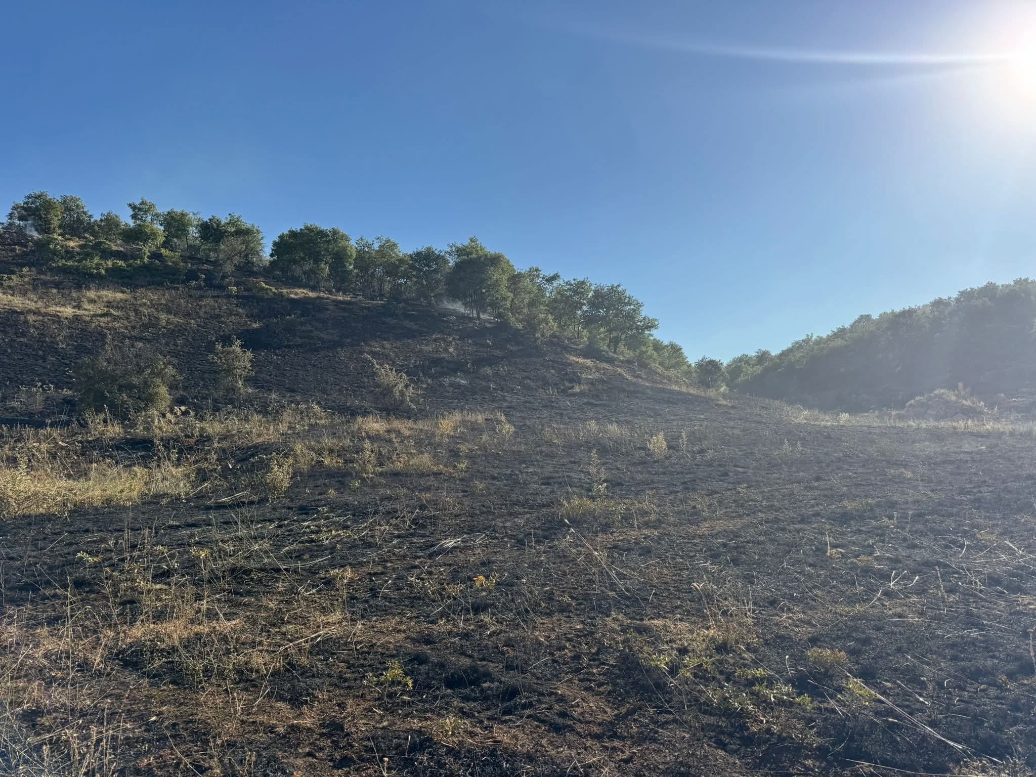 Konya'da orman yangını, kısa sürede söndürüldü - Görsel 6