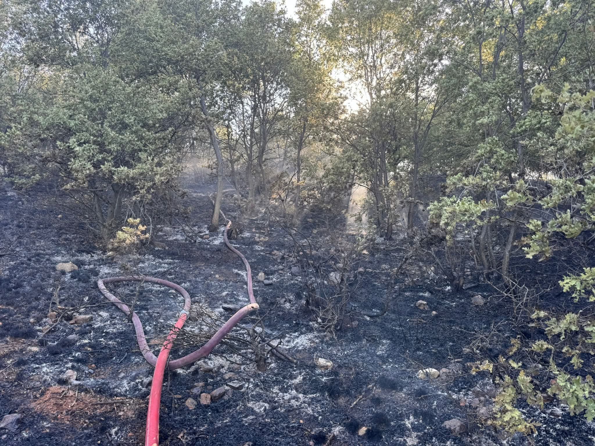 Konya'da orman yangını, kısa sürede söndürüldü - Görsel 7