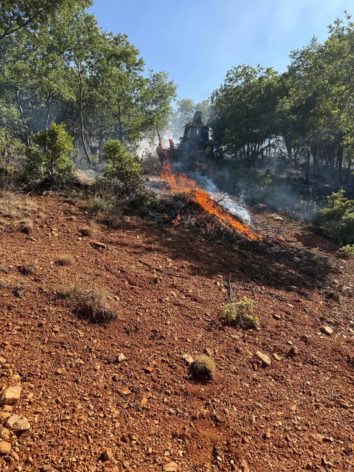 Konya'da orman yangını, kısa sürede söndürüldü - Görsel 8