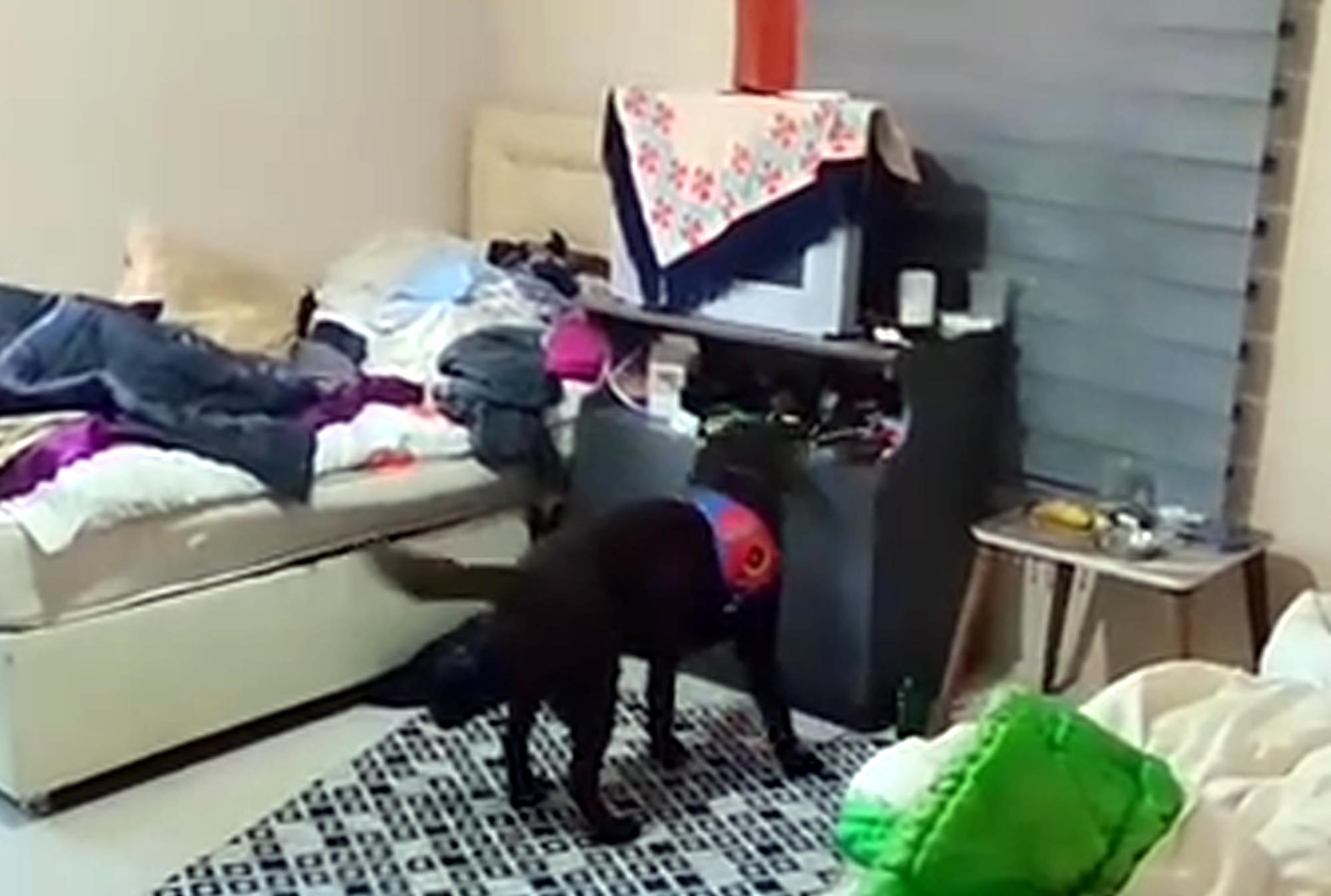 Piyasa değeri 100 milyon lira olan uyuşturucu ele geçirildi; 2 tutuklama - Görsel 1