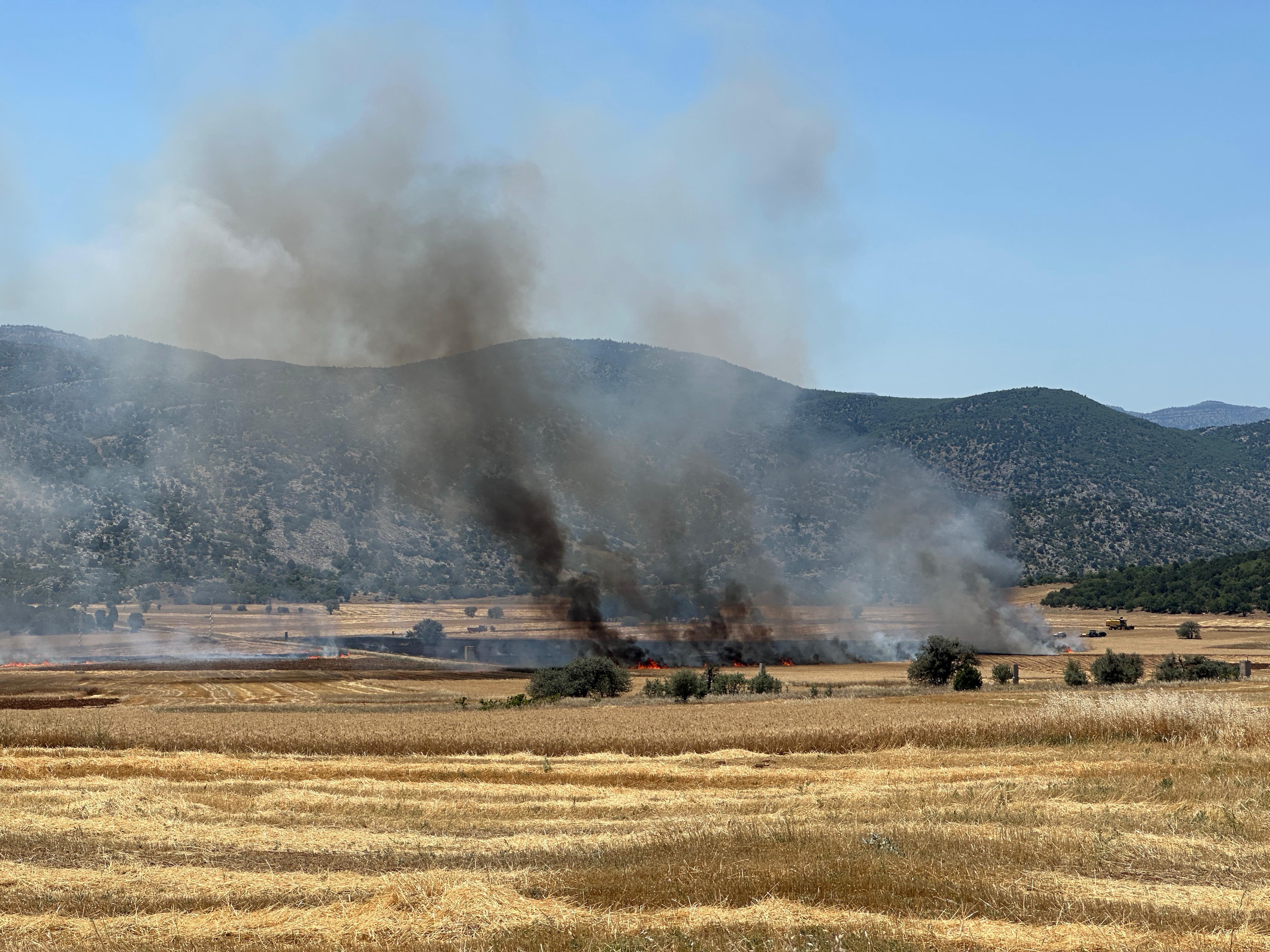 Ahırlı'da Tarım Arazisinde Çıkan Yangın, Vatandaşların Yardımıyla Söndürüldü - Görsel 1