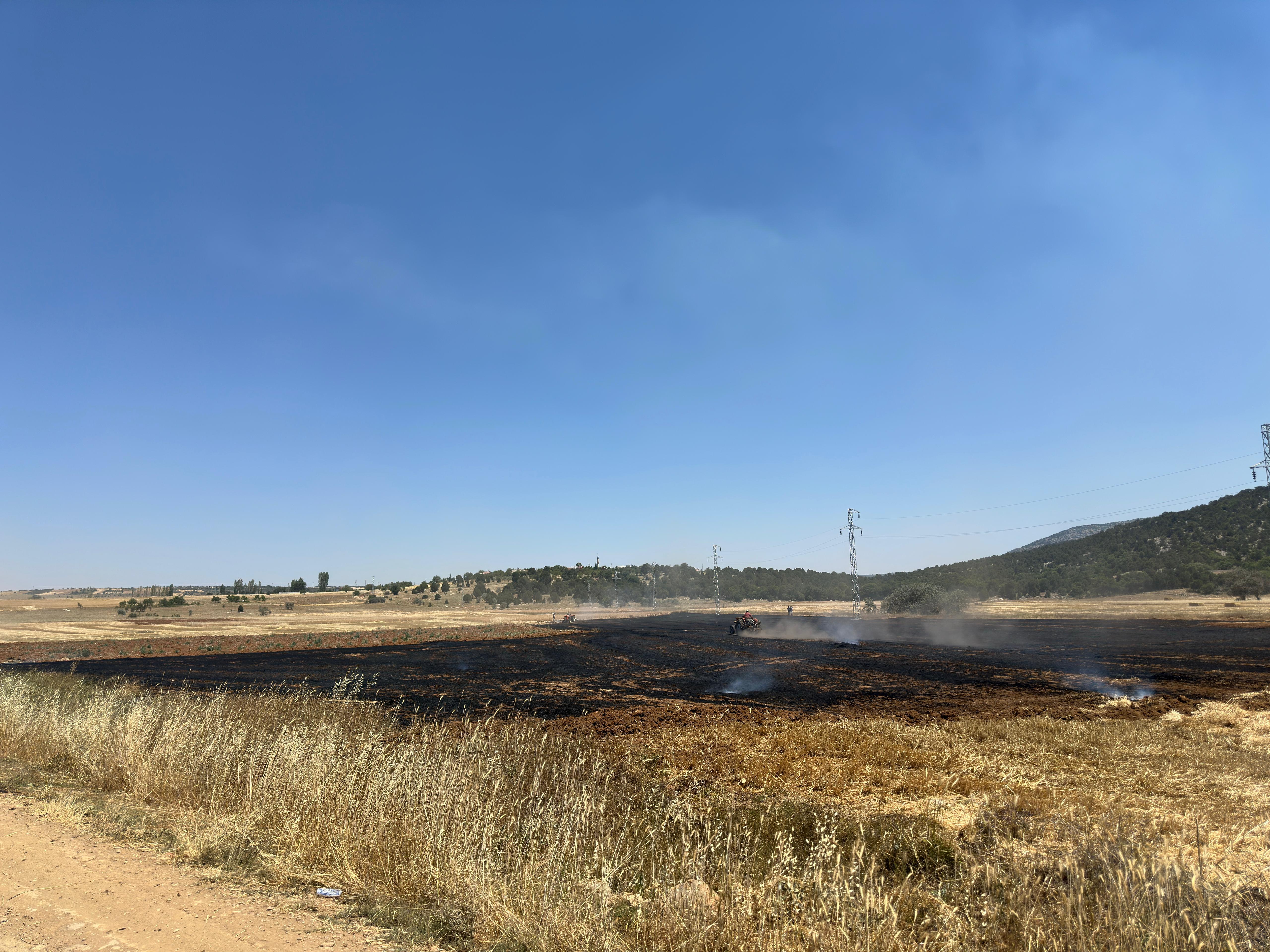 Ahırlı'da Tarım Arazisinde Çıkan Yangın, Vatandaşların Yardımıyla Söndürüldü - Görsel 3